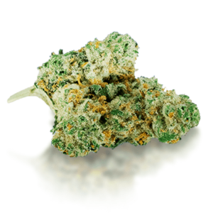 Amnesia Haze Strain For Sale - Uplifting Buzz
