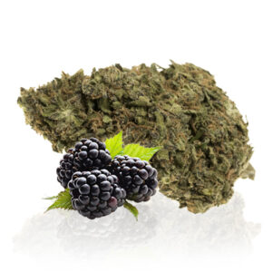 Blackberry Marijuana Strain: Buy Fast Online