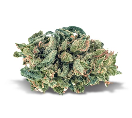 Buy Blue Cheese Strain Online & Effortless