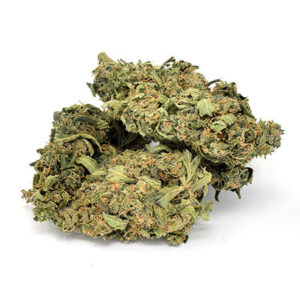 Blue Kush Strain: Buy Uplifting Hybrid Seeds