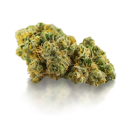 Koop de Bruce Banner marihuanasoort online