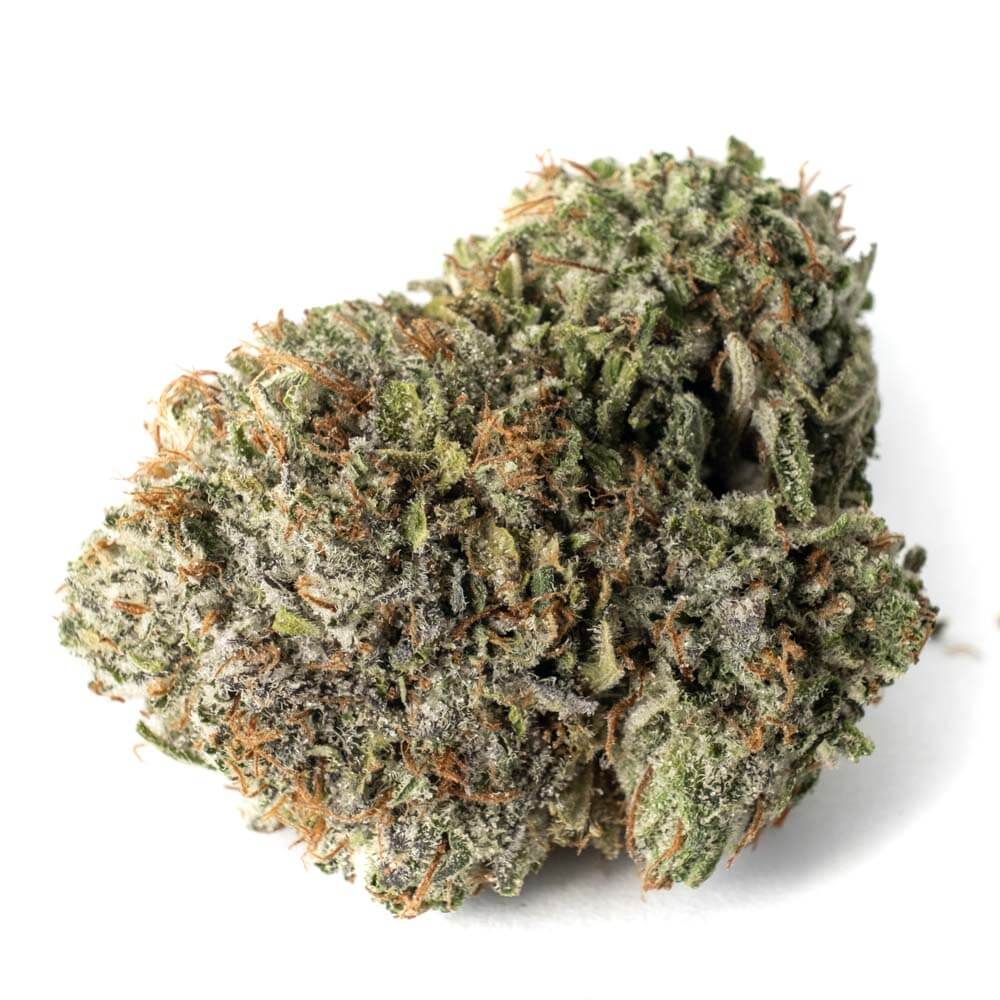 Buy Bubblegum (AAAAA) Strain Online - Fast