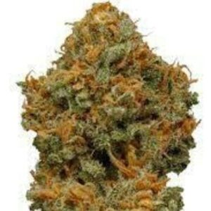 Buy Dream Queen by Good Tree - Fast Delivery