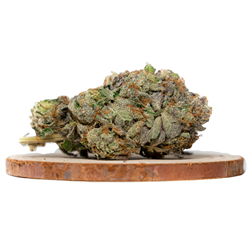 Buy El Jefe Indica Strains Online – Potent!