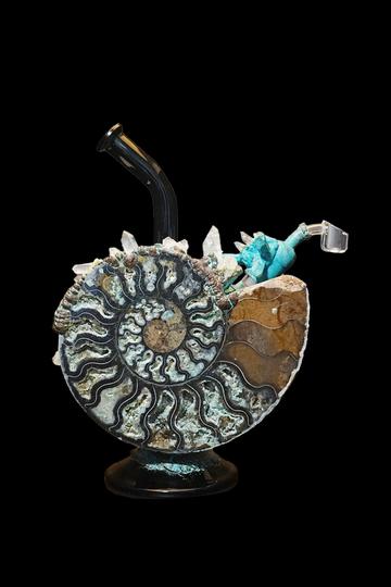 Order Envy Glass Ammonite Rig - Fast Shipping