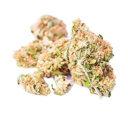 Buy Golden Goat Marijuana Strain - Fast!