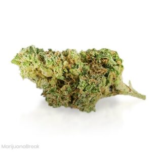 Buy Jack the Ripper Marijuana Strain Online