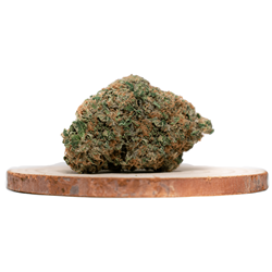 Acquista subito online le varietà Muerte Indica