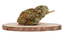 Buy Nuken Indica Strains AA Online