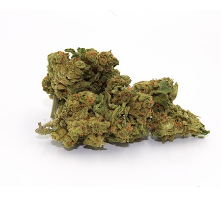 Buy OG Kush Strain Online - Fast & Potent