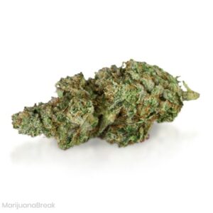 Buy Permafrost Cannabis Strain Online Now
