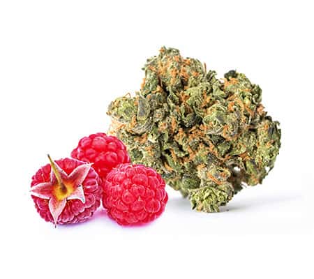 Buy Raspberry Kush Strain Online Today