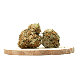 Rockstar Indica türlerini çevrimiçi olarak hızlıca satın alın