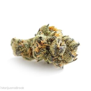 Buy Sin City Kush Strain Online - Relaxing