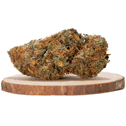 Köp Strawberry Sativa-sorter online snabbt