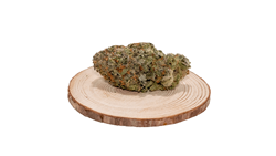 Köp Sunset Indica-sorter snabbt online