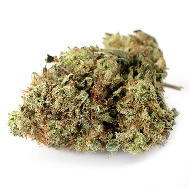 Buy Violator Kush (AAAA Indica) - Fast Online