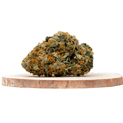Watermelon Indica-Sorten online kaufen