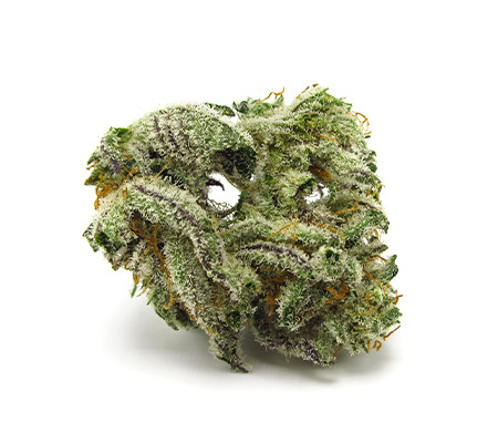 Buy White Ryder Strain Online - Fast & Potent